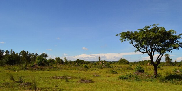 Landschaft in Uganda