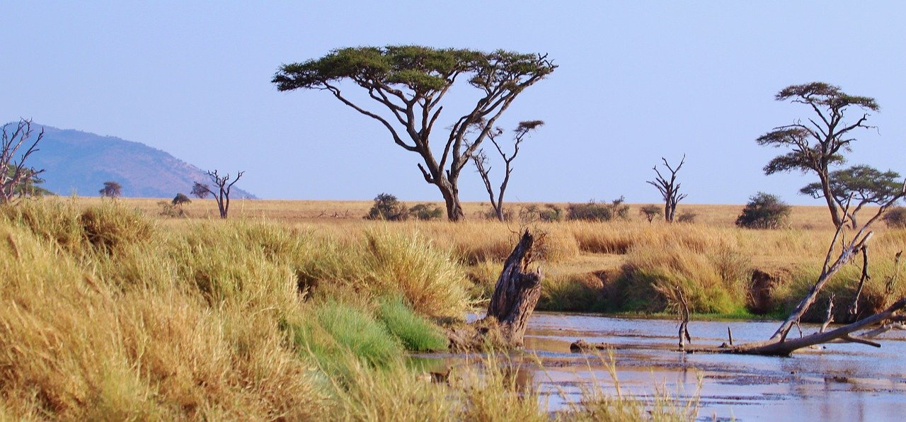 Tansania, Afrika, Serengeti