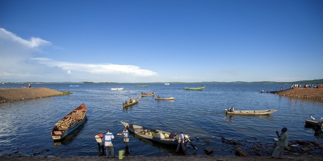 Ufer Victoriasee in Uganda