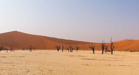 Wüstentour in Namibia