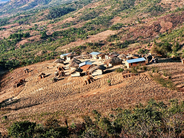 ​Malawisches Dorf