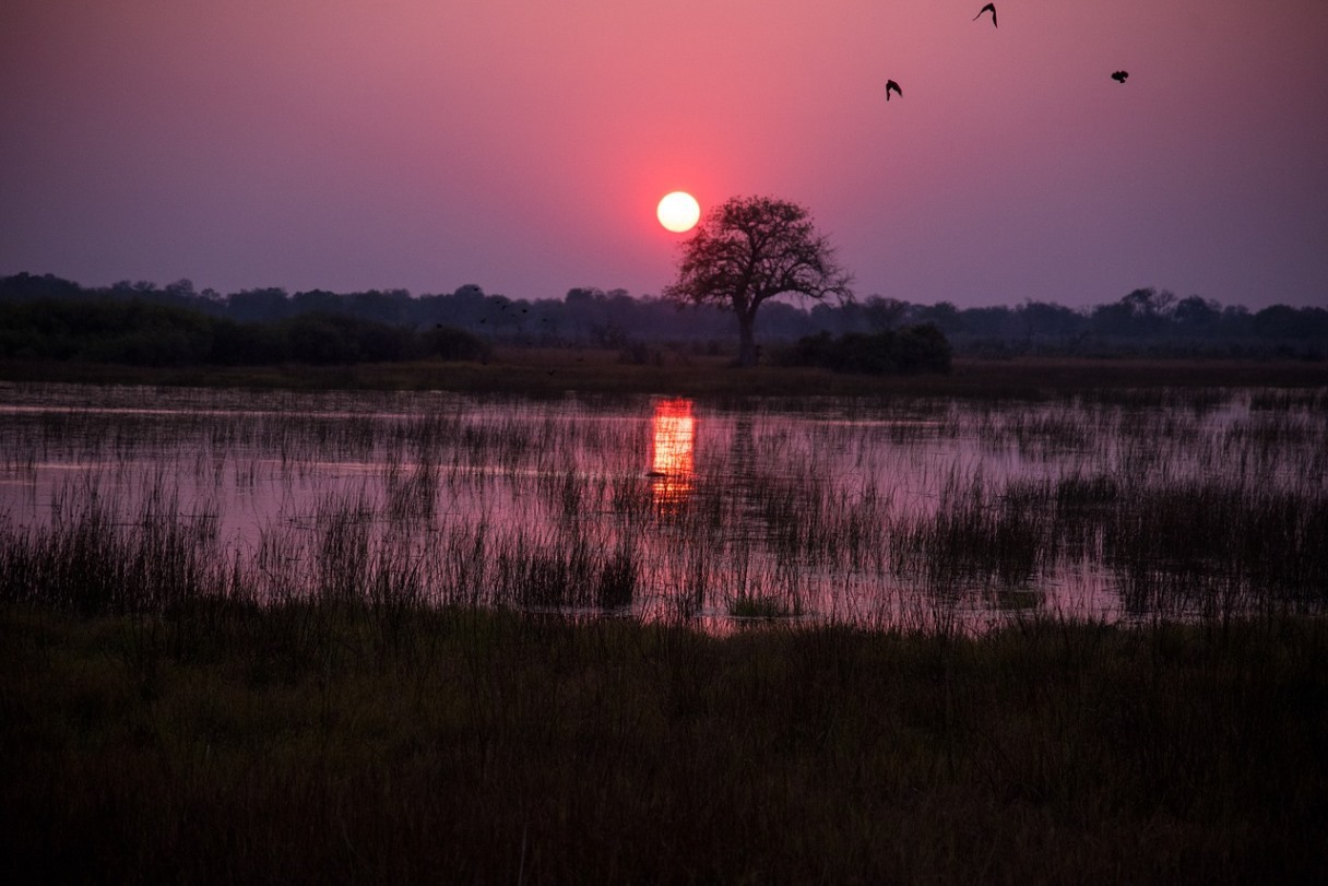 ​Sonnenuntergang im Chobe Nationalpark