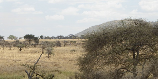 Landschaft Kenia