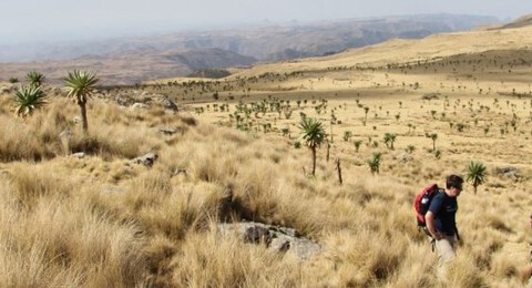 ​Landschaft in Äthiopien