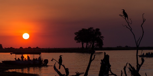 Bootssafari Chobe Sonnenuntergag