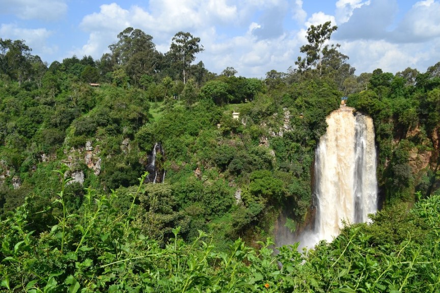 Regenwald in Kenia